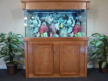 manufactured aquariums