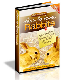 rabbit ebook