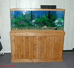 rustic aquarium cabinet and stand plans