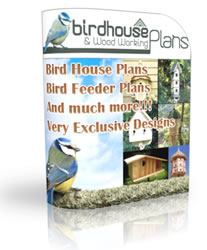 birdhouses and bird feeders