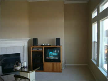 home entertainment center