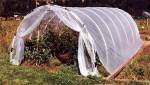 PVC pipe forms a hoop for these greenhouse plans