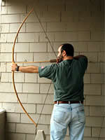 sapling archery bow