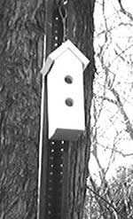 tall birdhouse plans