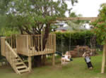 Tree house & swing set